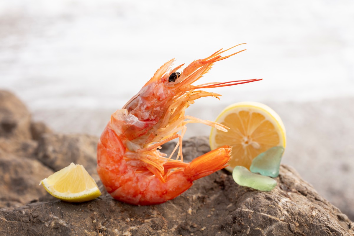 Mehr über den Artikel erfahren Aliquet et iaculis et viverra vitae ligula